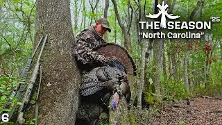 NORTH CAROLINA LONGBEARD FLIES INTO OUR LAPS!