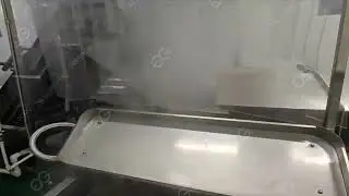 Whole Line -GELGOOG Green Beans Processing Line