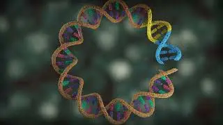 Scientific 3D Animation for Pharma | HIPRA MOA Visualization
