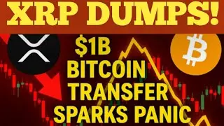 XRP, Bitcoin CRASH Before CPI?! Whale Moves $1B | Altcoin Season Delayed? | Crypto Labs News