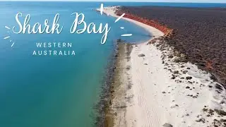 Shark Bay Fishing Trip