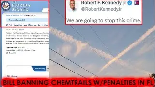 BILL BANNING CHEMTRAILS W/PENALTIES - Florida Rep. Senator 