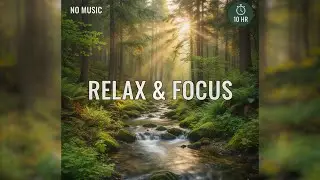 10 Hours of Gentle Babbling Brook Sounds 🌿 Relaxing Creak Stream for Sleep, Study & Stress Relief