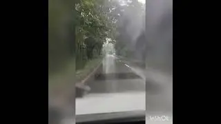 Misty mountain drive from Shengottai to Thenmala #shorts