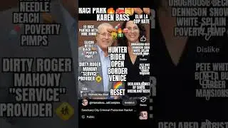 Nico Ruderman VENICE NEIGHBORHOOD COUNCIL Jew Hate Crime Violence Cover-up TRACI PARK🔥🚒🥞💣PROTECTED 