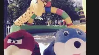 Animals Zippy Rides