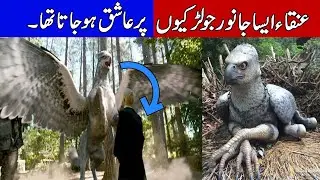 Story Of Anqa Birds | Anqa Bird History | Facts With Shani