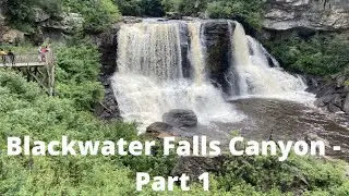 Blackwater Falls in West Virginia in the Blackwater Canyon