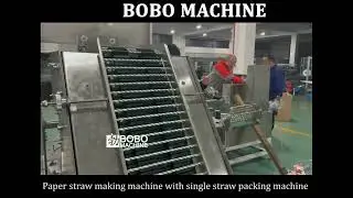 Paper straw making machine with single straw packing machine