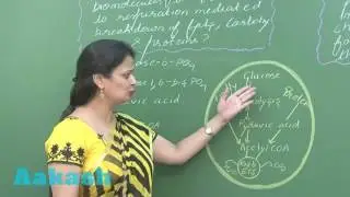 NEET-UG Phase 2 2016 - Video Solution for Biology questions 108 & 109
