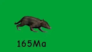 Эволюция