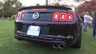 MUSCLE CARS from Cars & Coffee Italy 2016 | Hellcat, Hennessey Camaro, Vipers...