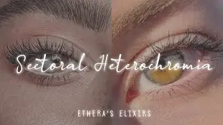 𝚜𝚎𝚌𝚝𝚘𝚛𝚊𝚕 𝚑𝚎𝚝𝚎𝚛𝚘𝚌𝚑𝚛𝚘𝚖𝚒𝚊 || mixed eye colour subliminal 🍂