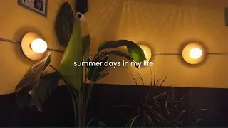 summer days in my life