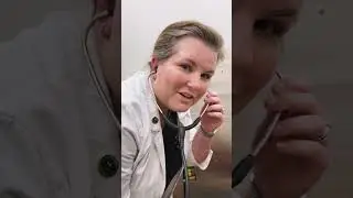 Saint Goes To The Vet