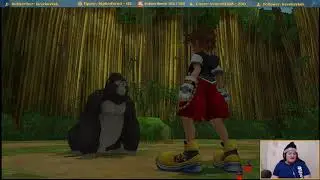 Venturing to New Worlds: Kingdom Hearts: HD 1.5 Final Mix Part 3