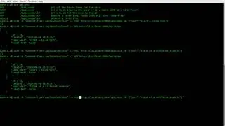 Example of using a REST API with curl