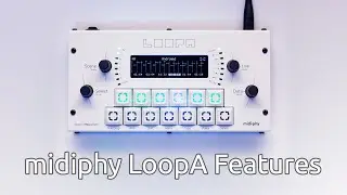 midiphy LoopA Features (Hardware MIDI Looper and Sequencer)