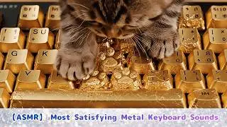 ASMR： Cat Typing on GOLD & TYPEWRITER Keyboards 🏆 (No Talking)