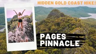 Climbing the Pages Pinnacle - Incredible hidden Gold Coast hike!