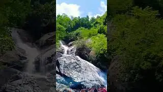 monkey🐒 falls 🐵pollachi 🙈#viralvideo #viralshort #shortvideo #shortfeed #shorts #trendingshorts