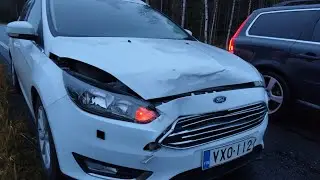 Peurakolari, Foordin nokka ruttuun! 🤦