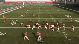 Madden Turf Skimbo Ebook - Pats Sail - Cover 2 Cover 3 & Man Killer- Madden 19 Madden Turf
