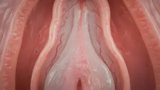 Hymen : Ce que beaucoup de gens ignorent sur cette membrane(Anatomie, D&eacute;veloppement & V&eacute;rit&eacute;s)