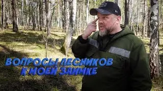 У лесников будут вопросы к моей заимке?