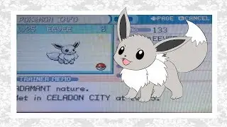 (500 Sub Special!) LIVE!!! Shiny Eevee after 1250 SRs!
