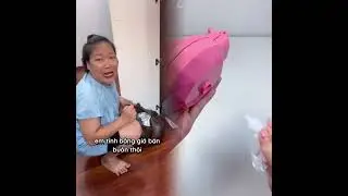 Vụ c.ứ.ớ.p v&agrave;ng kinh ho&agrave;ng #funny #foryou #youtube #pov