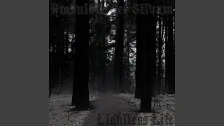 Desiderium Ad Mortem