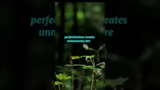 Let Go of Perfectionism (کمال پسندی کو چھوڑیں #islamicquotes #motivation #shorts #trending