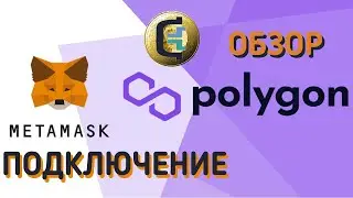 Обзор Polygon | Подключение к Metamask