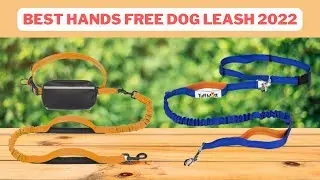 Top 5 Best Hands Free Dog Leash  | Hands Free Dog Leash 2022