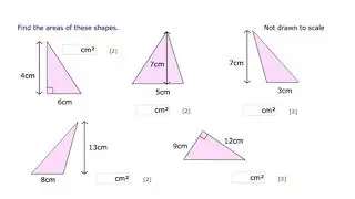 Area of Simple Shapes