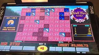 7 OUT OF 7 #JACKPOT #KENO #KENONATION #WOLFRUNKENO