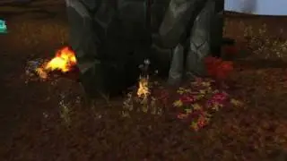 World of Warcraft Bot farmer