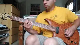 My song Resilience played with Novax baritone guitar