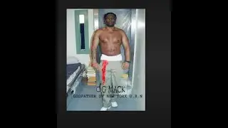 NEW YORK CITYS MOST DANGEROUS BLOOD GANG THE MAC BALLER BRIMS
