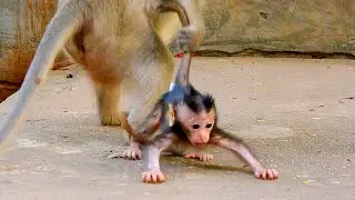 OMG...! Why Young Mom Ellen Pull Tail Her Baby Like This...!!
