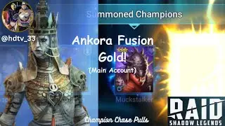 More Gold On The Main! - Ankora Champion Chase Shard Pulls | Raid: Shadow Legends