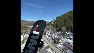 Blue bird at Silver mountain (Kellogg Idaho) 2020 GNU Finest