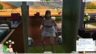Sims 4:Aspiration Cheats