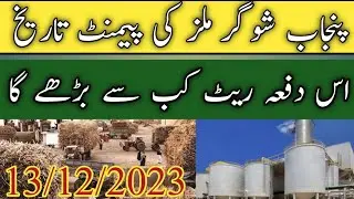 today shugarmil information!punjab shugarmil information!shugarcane rates 2023!#localfarmers20