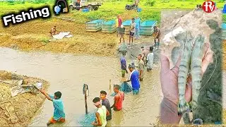 Tiger Fish | Fishing Videos | moust Popular Tiger Fish Gujarat 🐠🦐