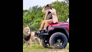 Jungle mein Mangal 😂🤣#jungle#junglesafari#jungleadventure#junglestory#junglecomedy