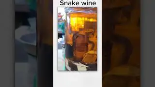 SNAKE wine 🤮🍷/ CHINA  favourite DRINK 😰😰😰