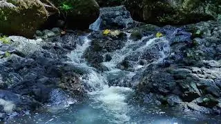Soothing River Ambience with Rock Flow | Calm Background Noise