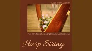 Wedding Music with Harp